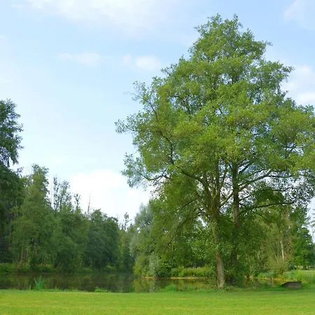Luxurious Castle In Marchin With Infrared Sauna